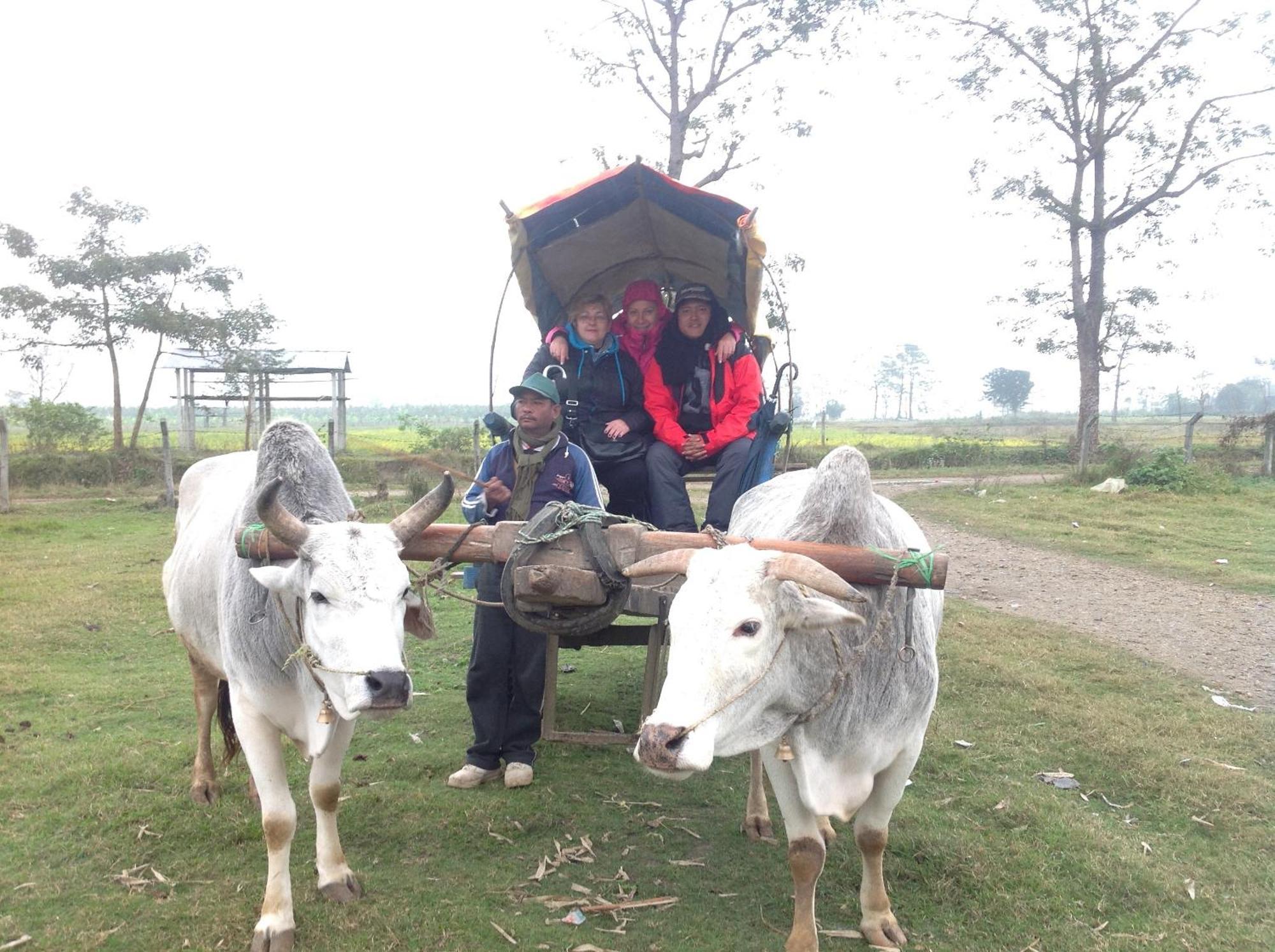 Everest Home Stay Apartment Lalitpur Екстериор снимка